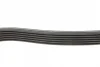 Ремінь генератора Citroen Jumper 1.9TD 94-02 (ALT,PS,AC) DAYCO 6PK1705 (фото 2)