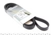 Ремень генератора поликлиновый DAYCO 6PK1740HD (фото 1)