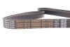 Фото 4 - ремень генератора поликлиновый DAYCO 6PK1740HD Ремень генератора поликлиновый DAYCO 6PK1740HD (фото 4)