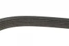 Ремінь генератора VW LT 2.5TDI 96-01/Peugeot Expert 1.9D/2.0HDI 98- DAYCO 6PK1750 (фото 3)
