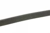 Ремінь генератора MB C-class (W202) 2.0 95-01 DAYCO 6PK1865 (фото 2)