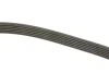 Ремінь генератора VW Crafter 2.5TDI (-AC) /MB OM601/602 (+PS) DAYCO 6PK2000 (фото 3)