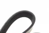 Ремінь генератора MB Vito OM601/602 (AC)/ M111 (PS) DAYCO 6PK2013 (фото 2)