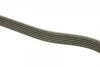 Ремінь генератора MB Vario 512D/612D/812D 96- DAYCO 6PK2120HD (фото 2)