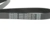 Ремінь генератора MB C-class (W203) 00-02 DAYCO 6PK2135 (фото 2)