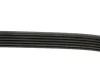 Ремінь генератора MB C-class (W203) 00-02 DAYCO 6PK2135 (фото 3)