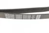 Ремінь генератора MB Sprinter 2.9TDI DAYCO 6PK2150S (фото 3)