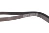 Фото 4 - ремень генератора Mazda 6 DAYCO 6PK2310 Ремень генератора Mazda 6 DAYCO 6PK2310 (фото 4)
