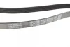 Ремінь генератора MB W124/S124 M104 -98 DAYCO 6PK2325 (фото 2)