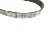 Ремінь генератора Land Rover Discovery III 4.4 04-13 DAYCO 6PK2345 (фото 2)