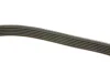 Ремінь генератора VW Passat/Audi A4 2.5TDI/3.2FSi 94- DAYCO 6PK2400 (фото 3)
