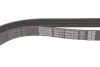 Ремінь генератора Hyundai Santa Fe/Kia Sorento 2.4 CVVT 09- DAYCO 6PK2576S (фото 4)