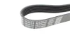 Ремінь генератора Jeep Grand Cherokee II 2.7 CRD 01-05 DAYCO 6PK2605 (фото 2)
