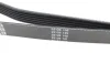 Ремінь генератора Jeep Grand Cherokee II 2.7 CRD 01-05 DAYCO 6PK2605 (фото 3)