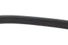 Ремінь генератора Jeep Grand Cherokee II 2.7 CRD 01-05 DAYCO 6PK2605 (фото 4)