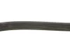 Ремінь генератора Jeep Cherokee/Liberty 2.5/2.8 CRD 01- DAYCO 6PK2870 (фото 2)
