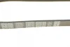 Ремінь генератора Citroen Jumper/Peugeot Boxer 2.0/2.2HDi 04- (-AC)/Opel Movano 2.5D DAYCO 6PK873EE (фото 4)