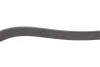Ремінь генератора VW Polo/Up 11-/Skoda Fabia 14-/Seat Ibiza 1.0/1.6 15- (6PK989) DAYCO 6PK989EE (фото 4)
