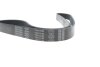 Ремінь генератора Renault Master/Opel Movano 2.2/2.5dCi/DTI 01- DAYCO 7PK1148 (фото 4)