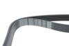 Фото 4 - ремінь генератора Land Rover Defender/Discovery 2.5 TDI 89-01 DAYCO 7PK1580 Ремінь генератора Land Rover Defender/Discovery 2.5 TDI 89-01 DAYCO 7PK1580 (фото 4)