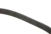 Ремінь генератора Renault Trafic 1.6dCi 14- (+AC) DAYCO 7PK1675 (фото 3)