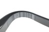 Фото 4 - ремінь генератора Renault Espace 2.2 dCi 02-/Honda FR-V 2.0 05- DAYCO 7PK1770 Ремінь генератора Renault Espace 2.2 dCi 02-/Honda FR-V 2.0 05- DAYCO 7PK1770 (фото 4)