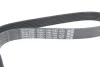 Ремінь генератора Renault Megane/Scenic 1.4 09-/Honda Accord/CR-V 2.2 i-CTDi 04- DAYCO 7PK1784 (фото 3)