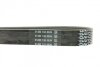 Фото 3 - ремінь генератора Ford Transit 2.4 TDCi 00-06 DAYCO 7PK2711 Ремінь генератора Ford Transit 2.4 TDCi 00-06 DAYCO 7PK2711 (фото 3)