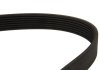 Ремінь генератора Ford Transit 2.0/2.4 DI/TDCI/TDE 00-06 DAYCO 7PK2872 (фото 2)
