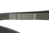 Ремінь генератора BMW 5 (G30/F90)/X3 (G01/F97) 16- B47 (8PK1162) DAYCO 8PK1162H (фото 4)