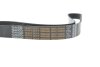 Ремінь генератора MB SLR (R199) 04- M155 (8PK1240) DAYCO 8PK1240HD (фото 4)