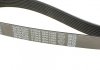 Фото 4 - ремень генератора поликлиновый DAYCO 8PK1295 Ремень генератора поликлиновый DAYCO 8PK1295 (фото 4)