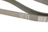 Ремінь генератора поліклиновий DAYCO 8PK2190 (фото 5)