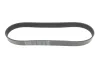 Ремінь генератора Land Rover Discovery 4.4 04-09/Range Rover 4.4 05-13 DAYCO 8PK848 (фото 1)