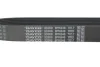 Ремінь генератора Land Rover Discovery 4.4 04-09/Range Rover 4.4 05-13 DAYCO 8PK848 (фото 4)