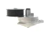 Натяжник ременя генератора Ford Transit Connect 1.8 16V 02-13 DAYCO APV2313 (фото 3)