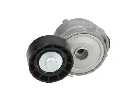 Натяжник ременя генератора Citroen Berlingo/C4/Peugeot 307 1.6 16V 08- DAYCO APV2556
