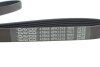 Комплект ременя генератора Citroen Jumpy/Fiat Scudo/Peugeot Expert 2.0HDi 04- (6PK1215) DAYCO KPV179 (фото 7)