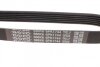 Фото 9 - комплект ременя генератора Citroen C-Crosser/Peugeot 4007 2.2D 07- DAYCO KPV621 Комплект ременя генератора Citroen C-Crosser/Peugeot 4007 2.2D 07- DAYCO KPV621 (фото 9)