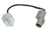 Датчик детонації SUZUKI ALTO VI, GRAND VITARA I, GRAND VITARA II, IGNIS I, IGNIS II, JIMNY, LIANA, SWIFT III, SX4, WAGON R, WAGON R+ 1.1-2.7 03.98- Delphi AS10252 (фото 1)