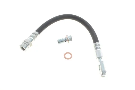 Шланг гальмівний (задній) Audi A3/Skoda Octavia/Superb/VW Golf VI/VII 04- (284mm) DELPHI Delphi LH6821