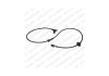 Датчик ABS (задній) VW Golf/Vento 1.4-2.8/1.9TDI 91-02 Delphi SS20031 (фото 1)