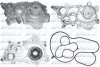 Водяний насос A1/A3/Seat Leon/VW GOLF VII/POLO 1.2-1.4/2.0i 12- DOLZ A234 (фото 1)