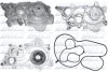 Водяний насос A1/A3/Seat Leon/VW GOLF VII/POLO 1.2-1.6i 12- DOLZ A234 (фото 1)