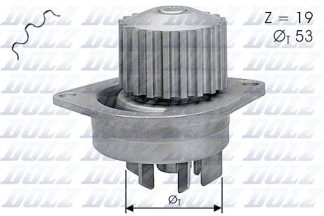 Водяний насос Berlingo/Partner 00-/C3/C4 1.6i 02- (19z) DOLZ C113 (фото 1)