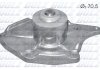 Водяной насос Kangoo/Clio/Logan/Megane/Scenic 1.5dCi 01- DOLZ R217 (фото 1)