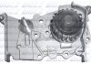 Водяной насос Kangoo/Logan/Megane/Dokker 1.6 16V 98- (20z) DOLZ R236 (фото 1)