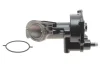 Насос вакуумний Ford Connect 1.8TDCi 02- DP Group BS 9310.1 (фото 1)