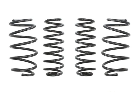 Занижуючі пружини, Pro-Kit, 4шт, (30мм / 20-25мм) (860кг / 860кг) SEAT IBIZA III 1.2/1.4/1.6 02.02-11.09 EIBACH E10-81-005-01-22