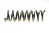 Пружина (задня) MB E-class (W211) 02-08 (ос:Classic/Elegance) EIBACH R10330 (фото 3)